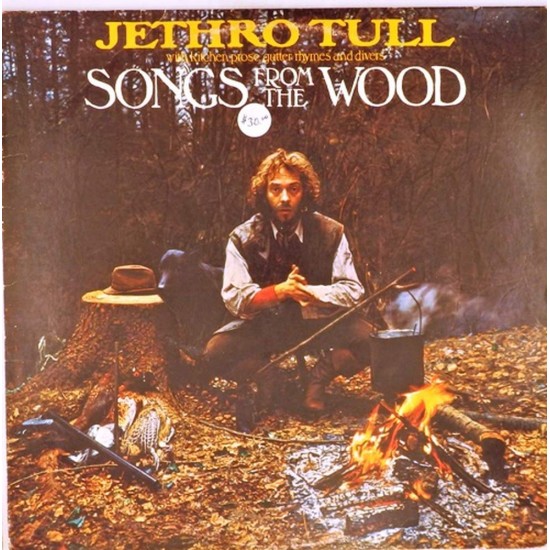 Пластинка Jethro Tull Songs from the Wood